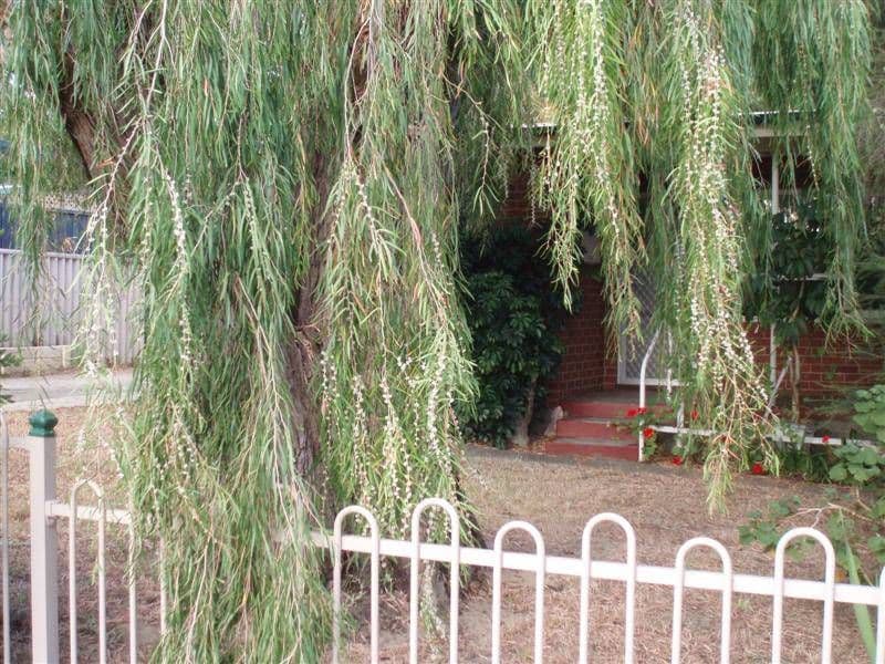 4a Belarius Street, COOLBELLUP WA 6163, Coolbellup - Thumbnail 5