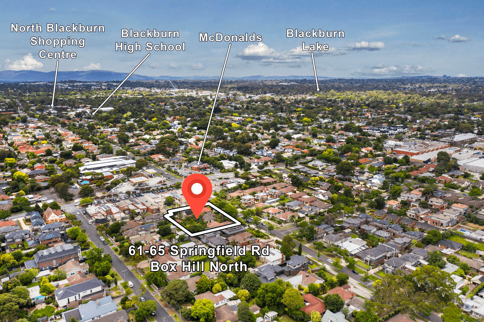 65 Springfield Road, Box Hill North VIC 3129, Box Hill North - Thumbnail 5