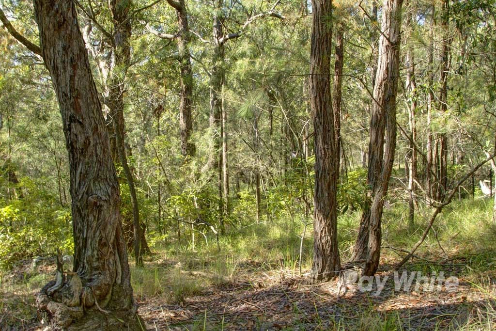 30 Mount Waring Road, Toronto NSW 2283, Toronto - Thumbnail 6