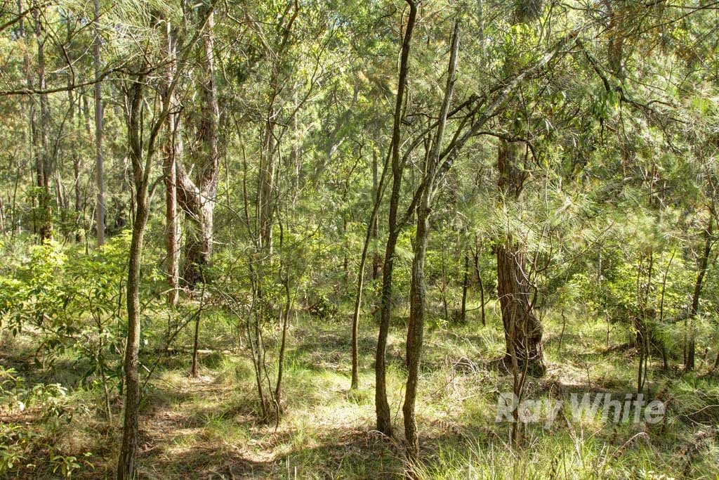 30 Mount Waring Road, Toronto NSW 2283, Toronto - Thumbnail 7