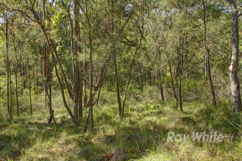 30 Mount Waring Road, Toronto NSW 2283, Toronto - Thumbnail 8