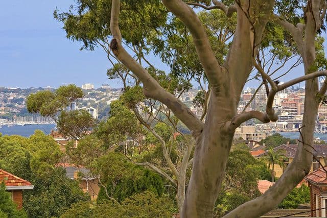 26 Cranbrook Avenue, CREMORNE NSW 2090, Cremorne - Thumbnail 3