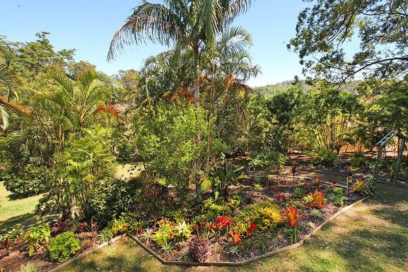 34 Mango Vale Court, Diddillibah QLD 4559, Diddillibah - Thumbnail 8