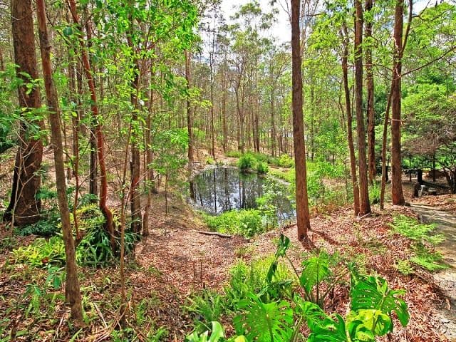 1 Brushbox Court, MOUNT COTTON QLD 4165, Mount Cotton - Thumbnail 4