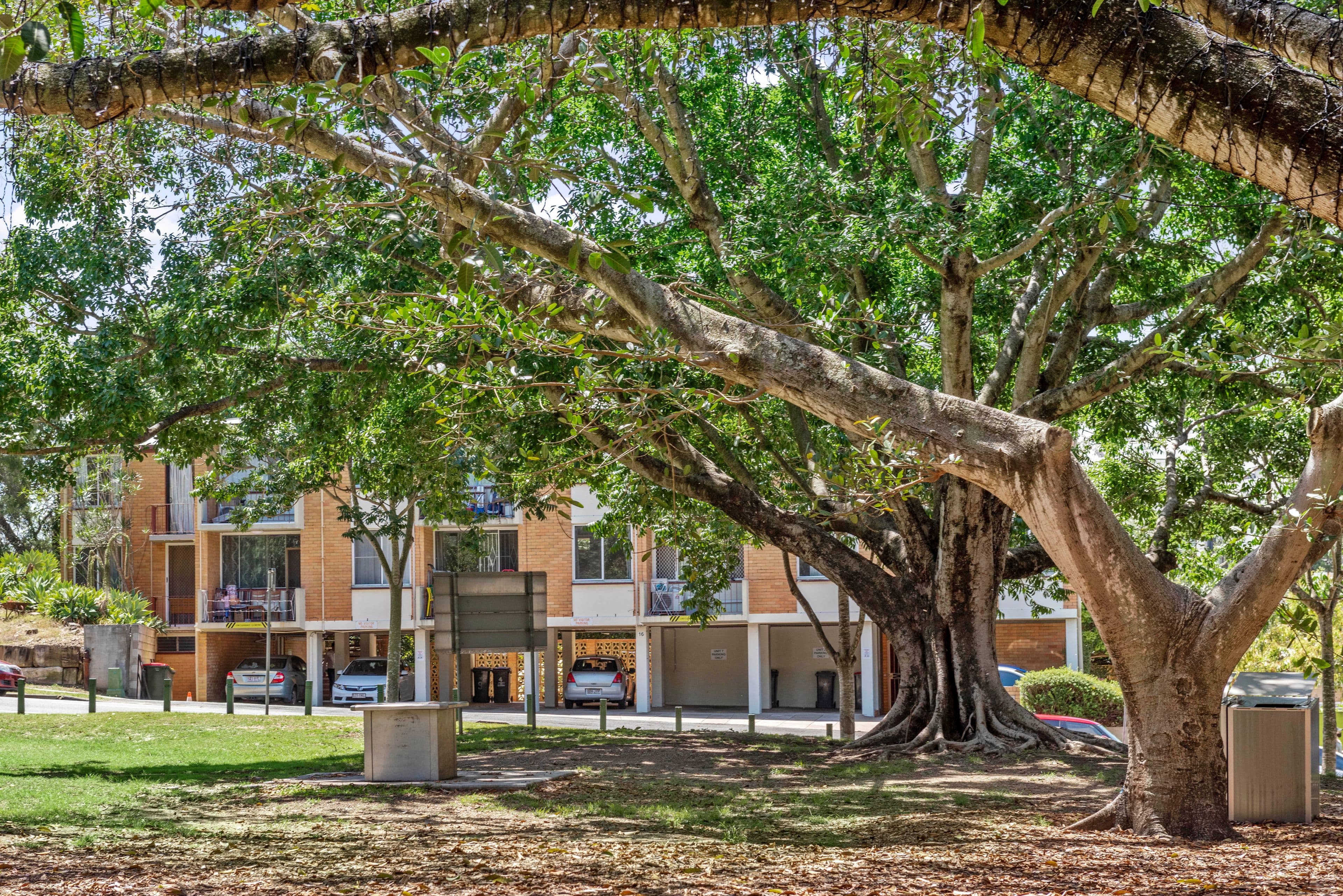 16 Blamey Street, Kelvin Grove QLD 4059, Kelvin Grove - Image 1