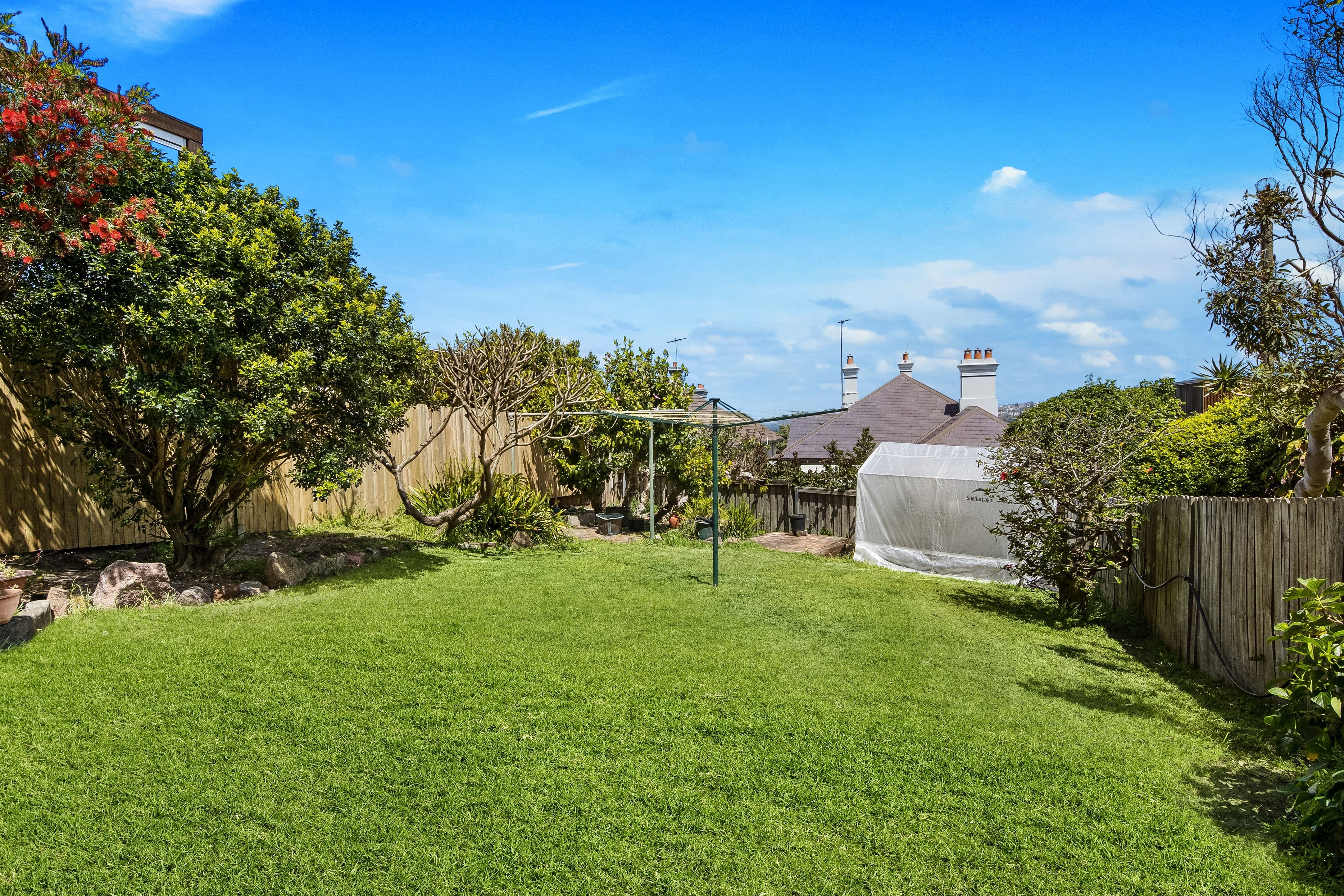26 Shackel Avenue, Clovelly NSW 2031, Clovelly - Thumbnail 7