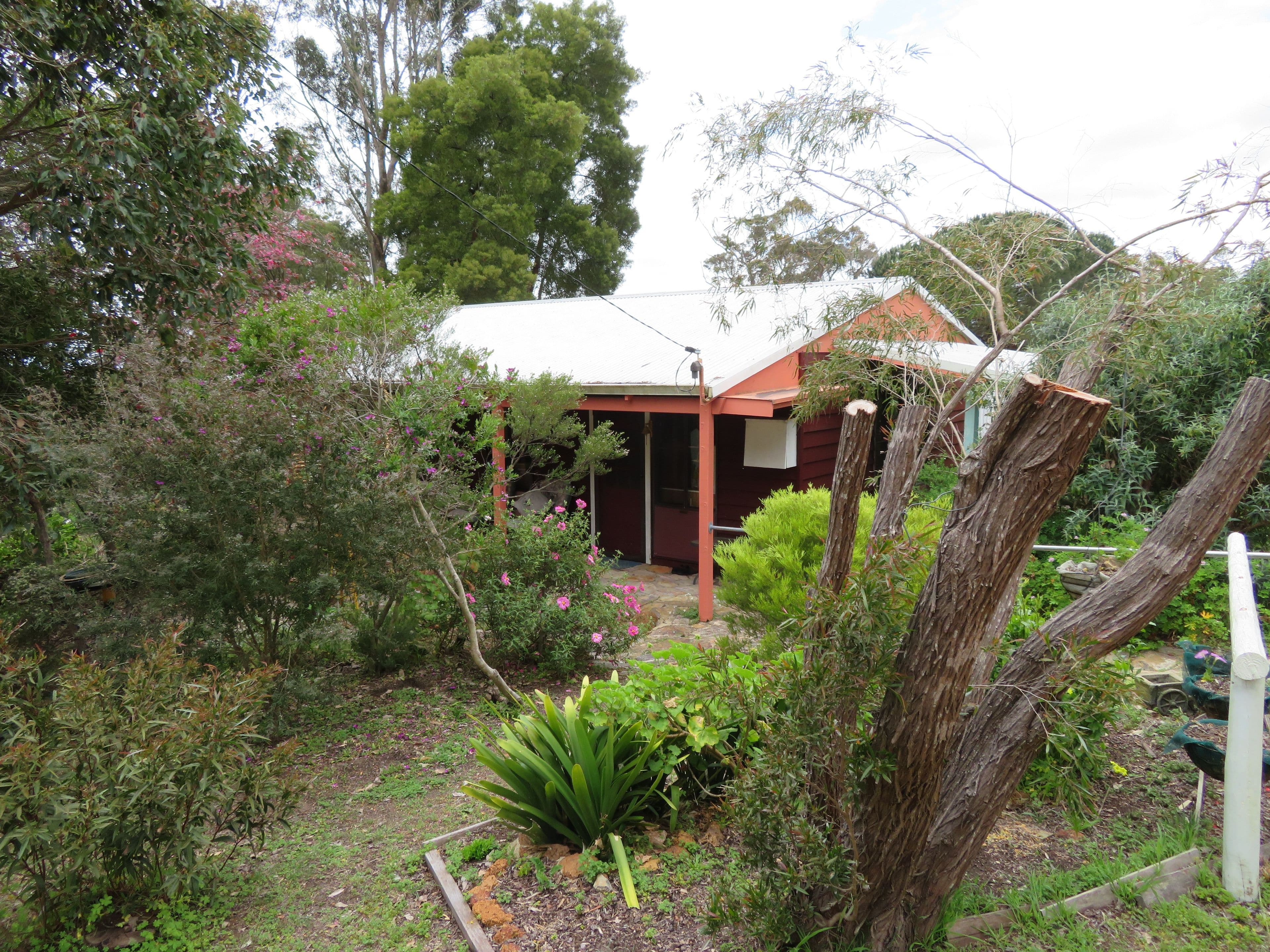 91 Marmion Street, Mount Barker WA 6324, Mount Barker - Thumbnail 2