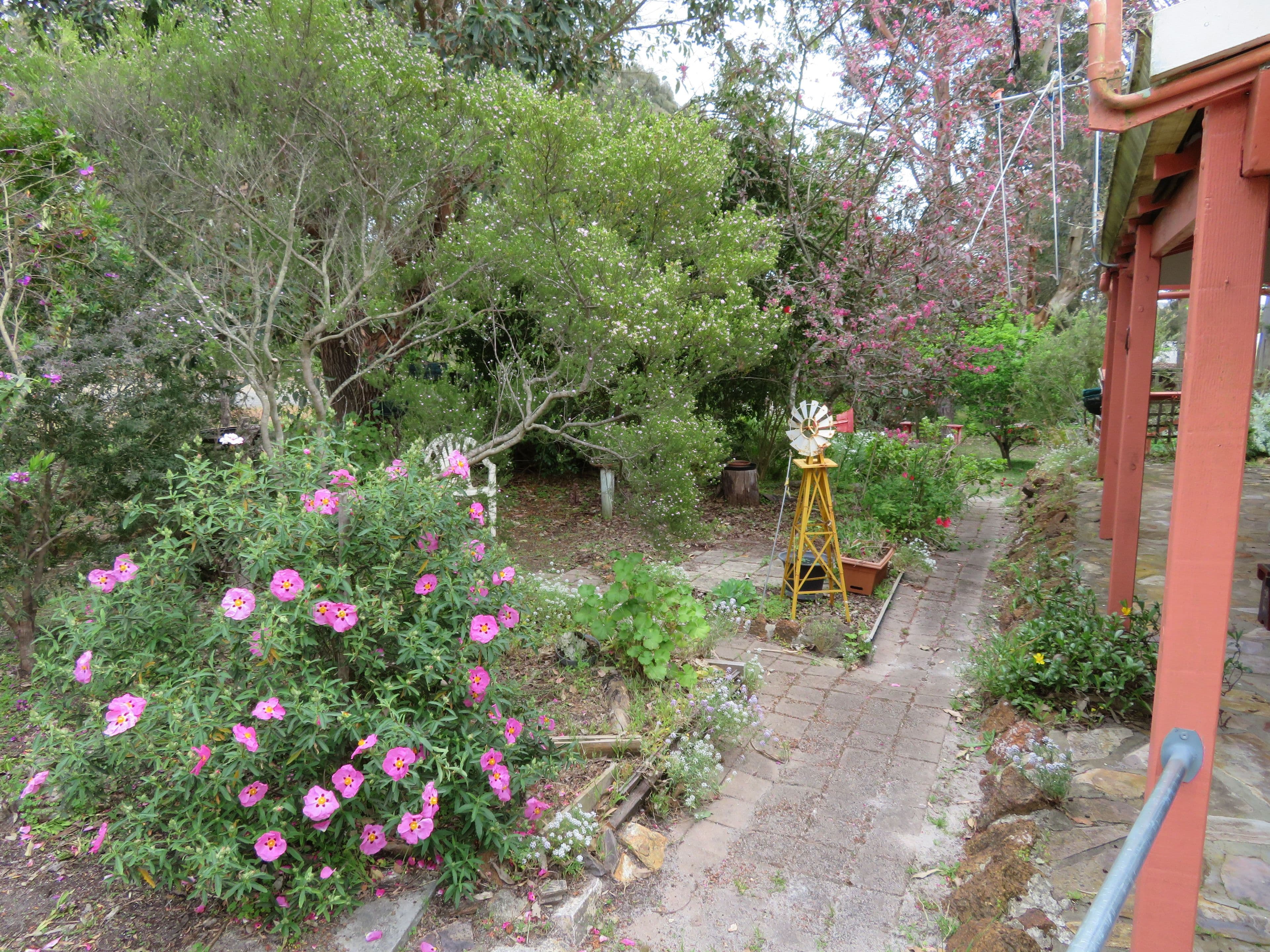 91 Marmion Street, Mount Barker WA 6324, Mount Barker - Thumbnail 5