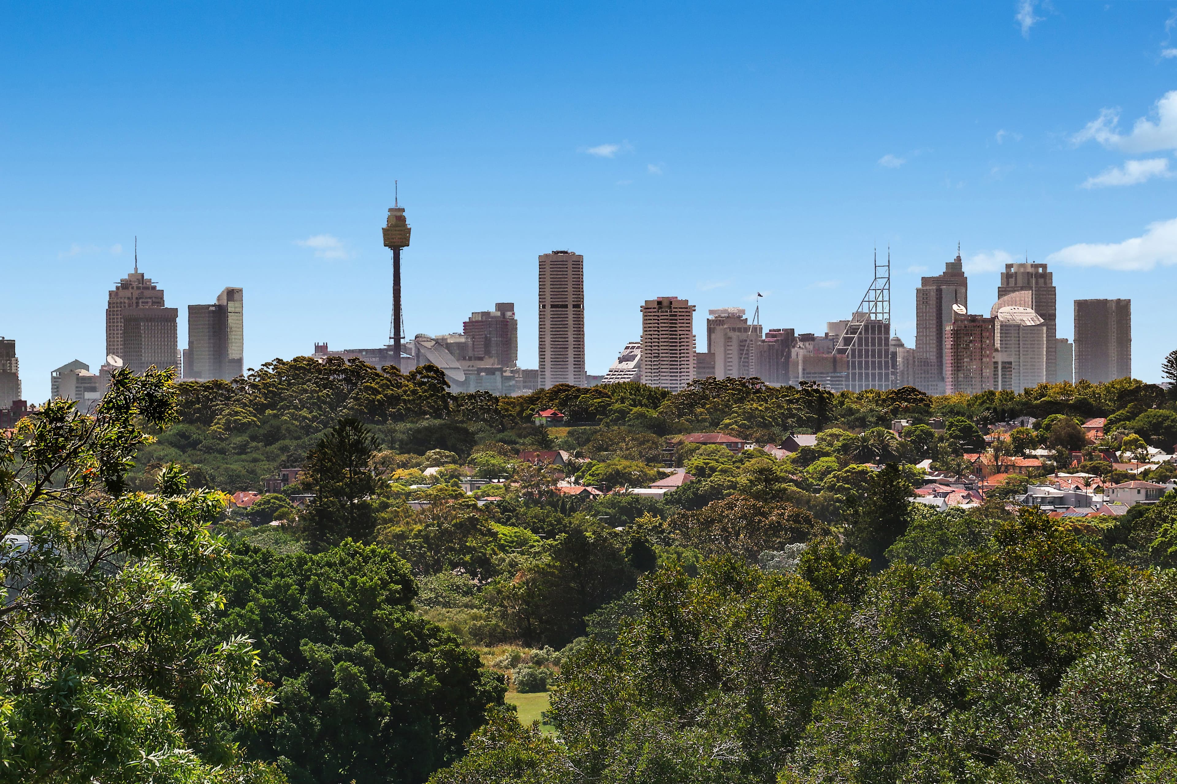 295 Darley Road, Randwick - Thumbnail 5