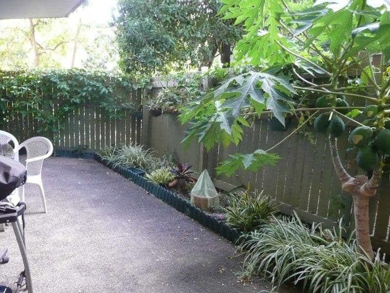 123 Central Avenue, INDOOROOPILLY QLD 4068, Indooroopilly - Thumbnail 2
