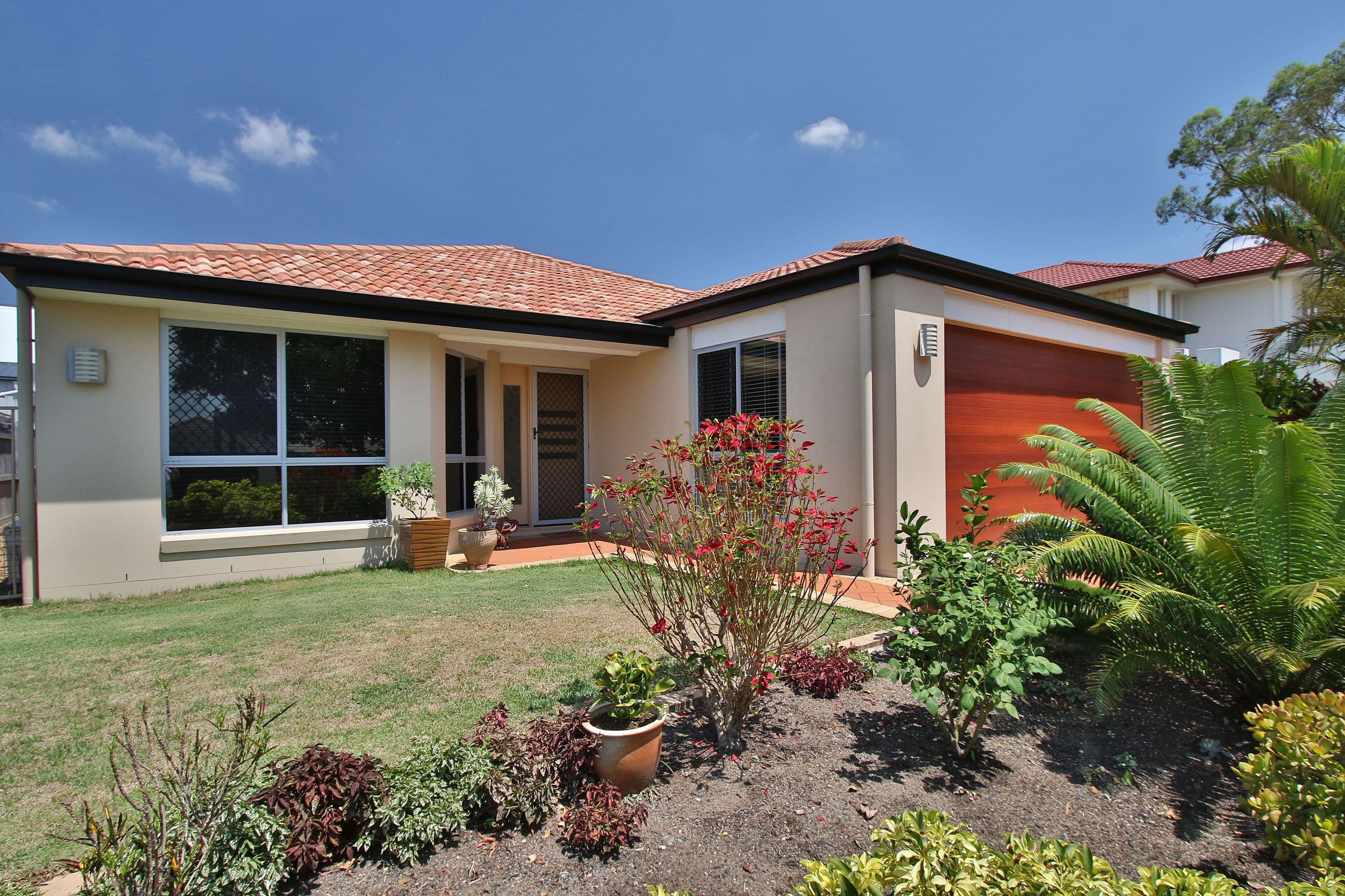 18 Copia Street, Calamvale QLD 4116, Calamvale - Thumbnail 4