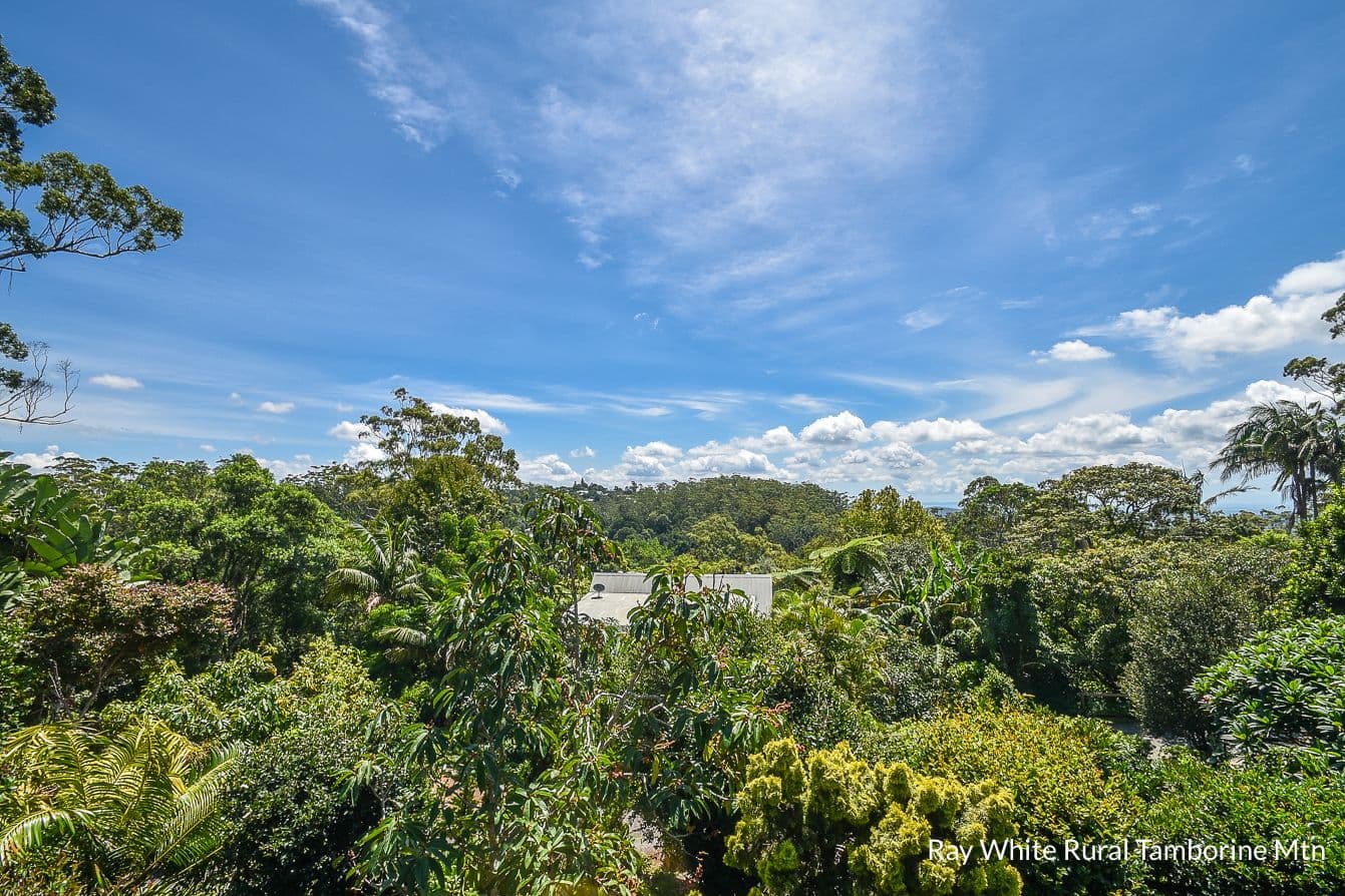 79 Long Road, Tamborine Mountain QLD 4272, Tamborine Mountain - Thumbnail 3