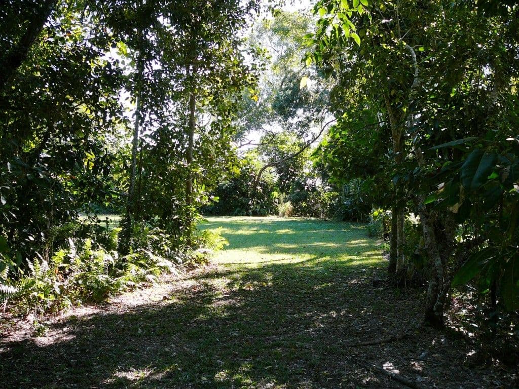 16 Wall Street, SOUTH MISSION QLD 4852, South Mission Beach - Thumbnail 2