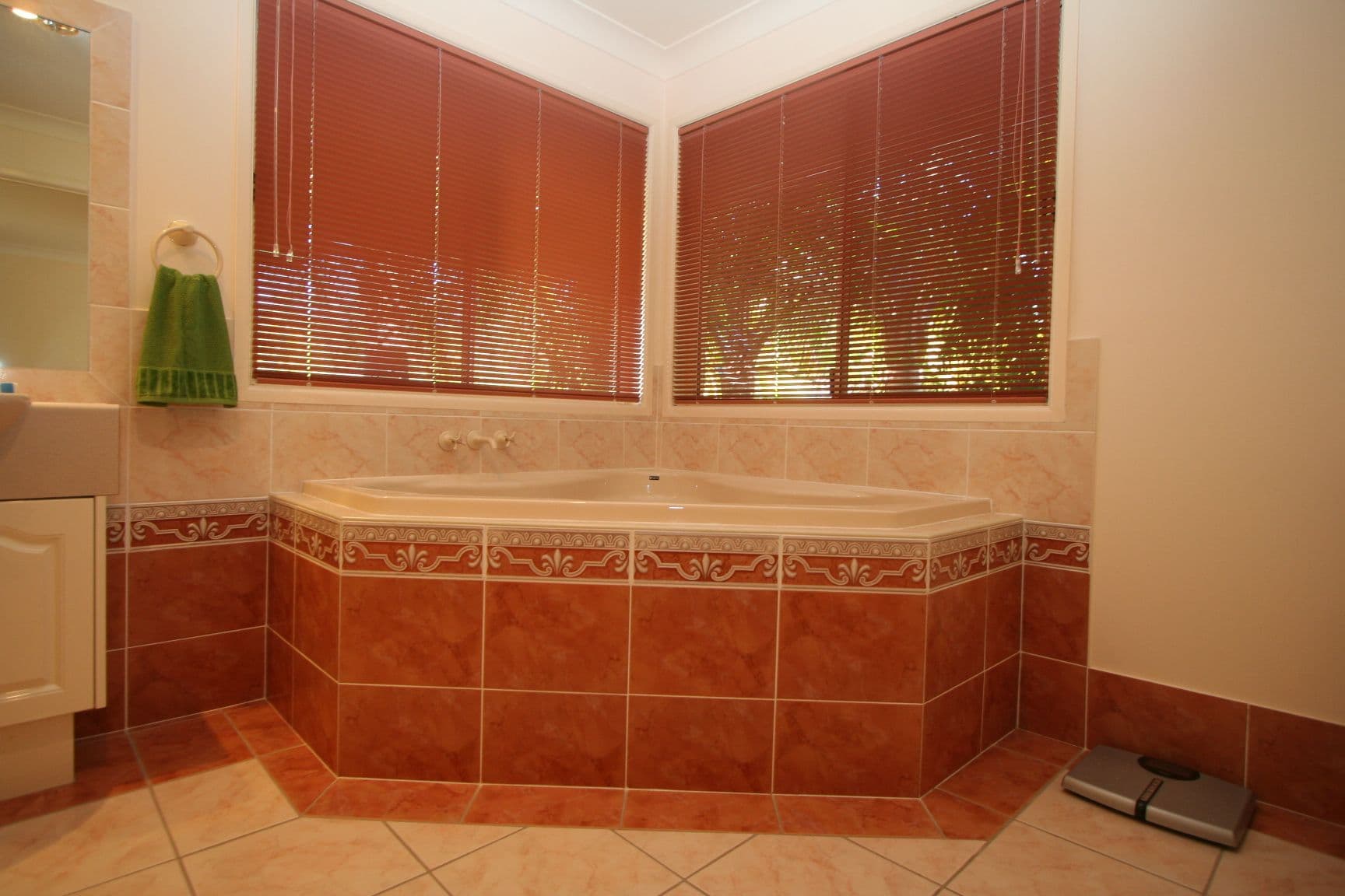 6 Showgrounds Drive, HIGHVALE QLD 4520, Highvale - Thumbnail 5