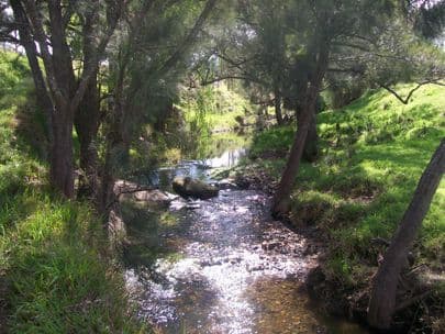 GOORANGOOLA NSW 2330, Goorangoola - Image 1