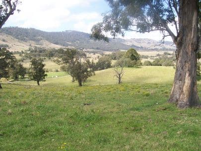 GOORANGOOLA NSW 2330, Goorangoola - Thumbnail 2