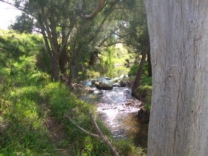 GOORANGOOLA NSW 2330, Goorangoola - Thumbnail 3