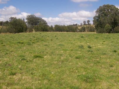 GOORANGOOLA NSW 2330, Goorangoola - Thumbnail 4