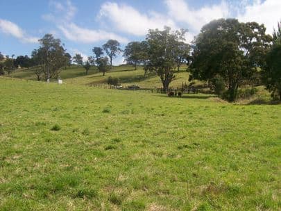 GOORANGOOLA NSW 2330, Goorangoola - Thumbnail 5
