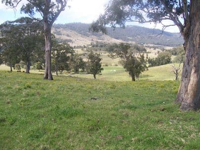 GOORANGOOLA NSW 2330, Goorangoola - Thumbnail 6