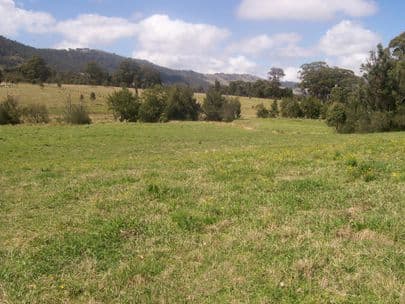 GOORANGOOLA NSW 2330, Goorangoola - Thumbnail 7