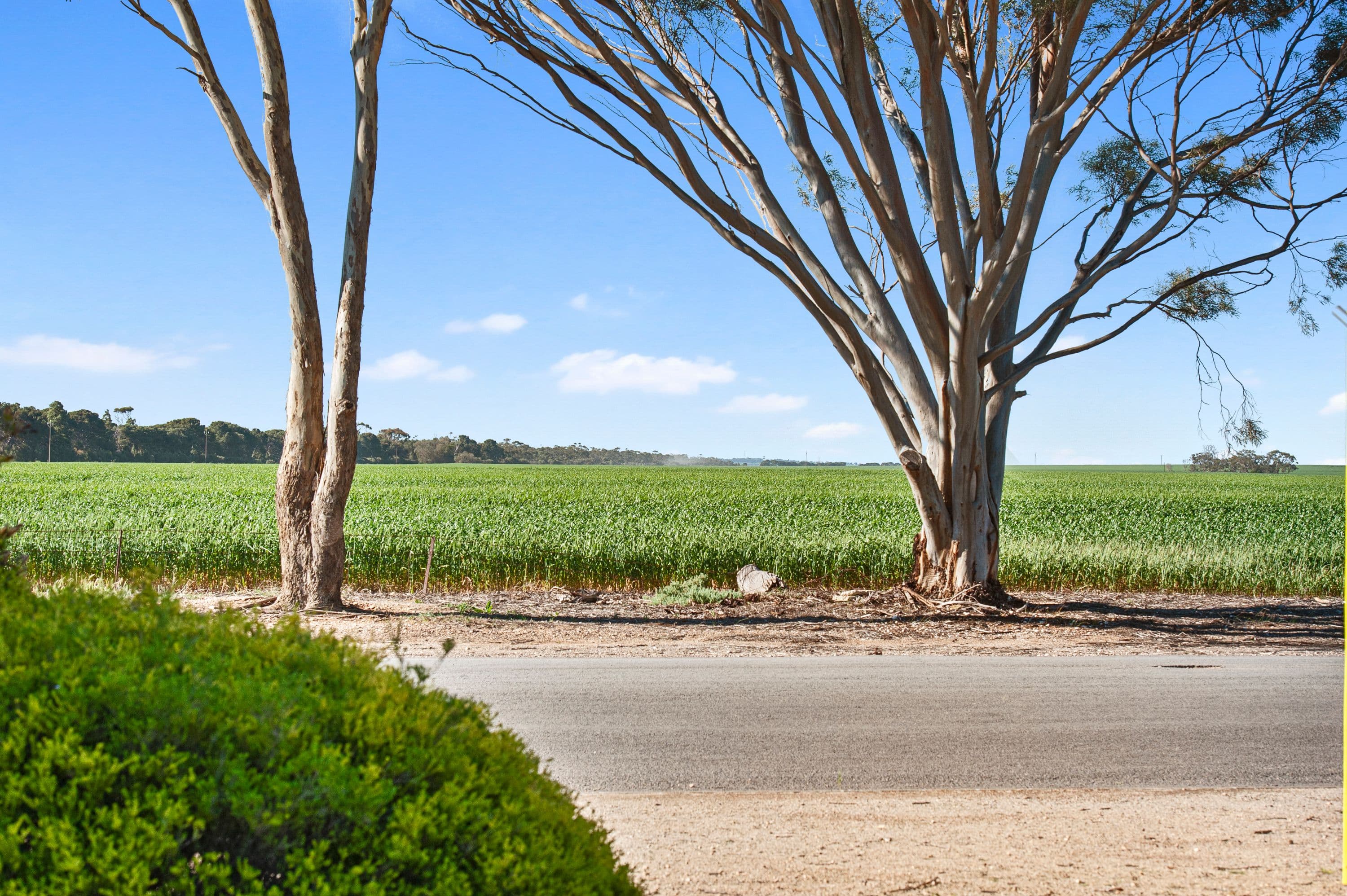 17 North Terrace, Maitland SA 5573, Maitland - Thumbnail 2
