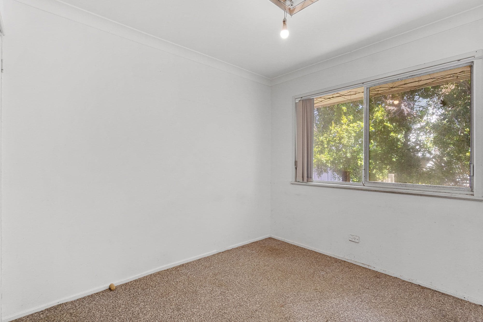 19 Mungala Street, Rochedale South QLD 4123, Rochedale South - Thumbnail 8