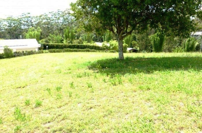 5 Gipanni Place, DIDDILLIBAH QLD 4559, Diddillibah - Thumbnail 4