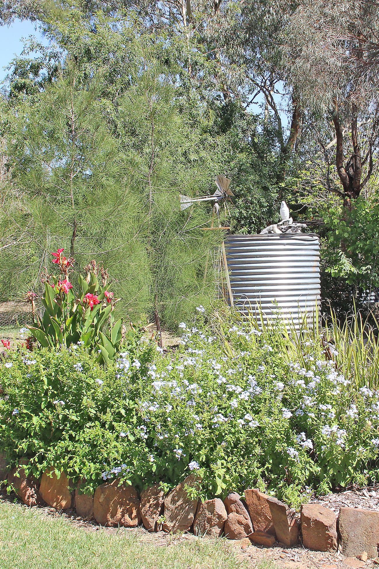 44 Cowper Street, Coonabarabran - Thumbnail 8