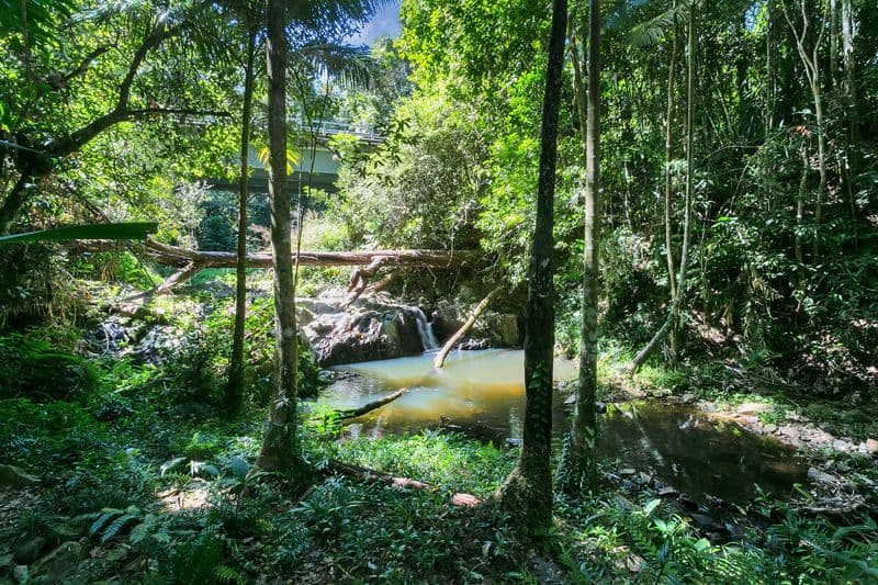 13-17 Black Mountain Road, Kuranda QLD 4881, Kuranda - Thumbnail 2