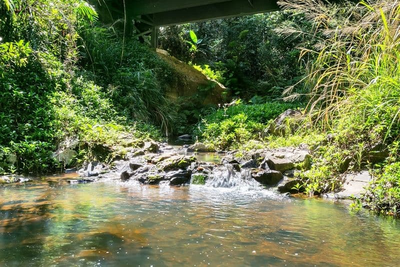 13-17 Black Mountain Road, Kuranda QLD 4881, Kuranda - Thumbnail 6
