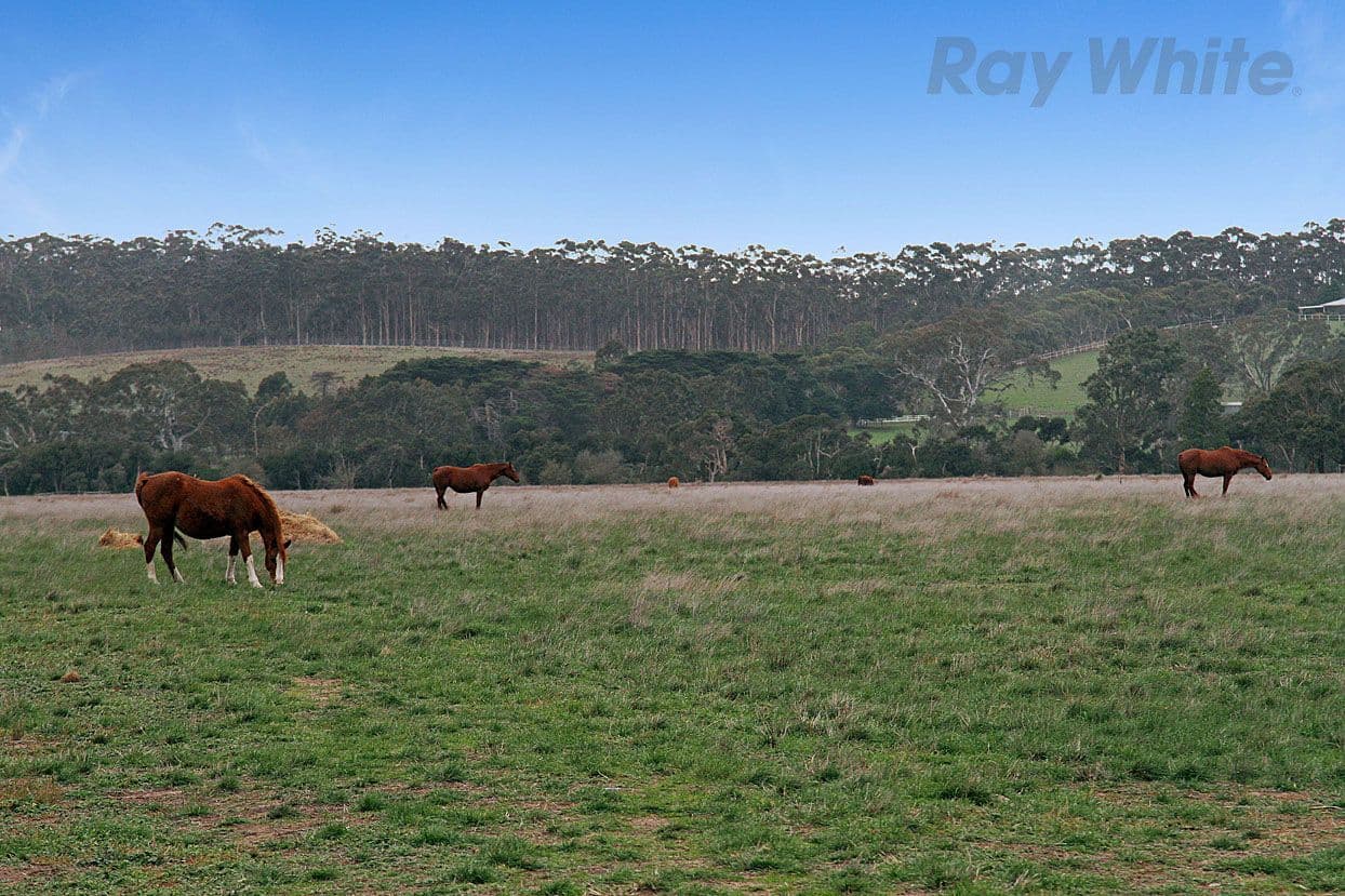 2220 Plenty Road, Yan Yean VIC 3755, Yan Yean - Thumbnail 7