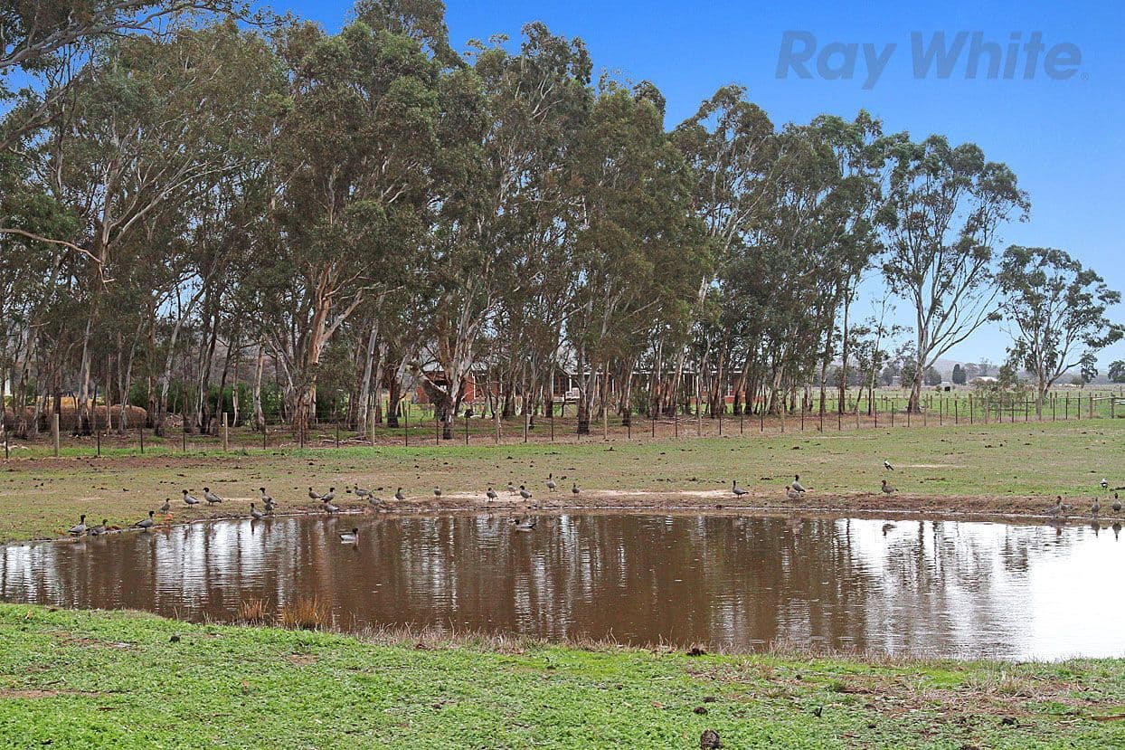 2220 Plenty Road, Yan Yean VIC 3755, Yan Yean - Thumbnail 8