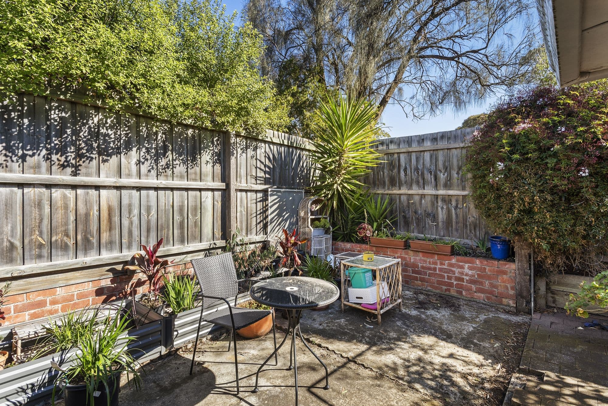 6 Cheryl Crescent, Belmont VIC 3216, Belmont - Thumbnail 6