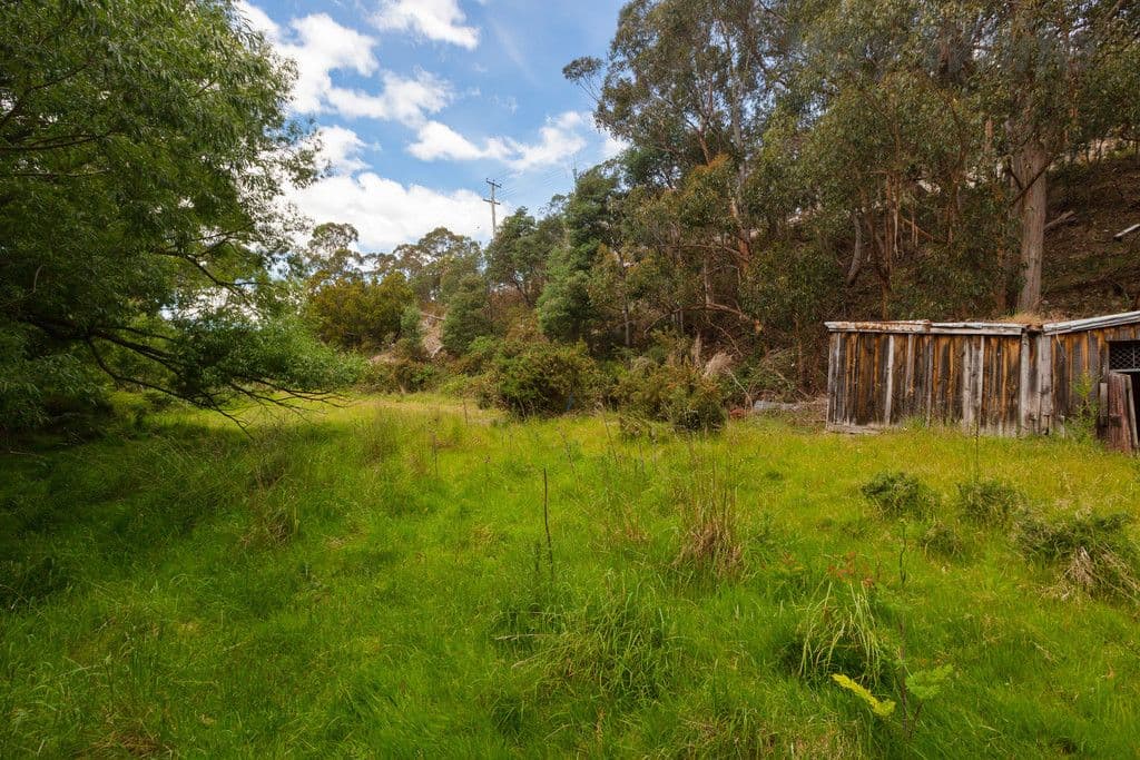 36 Avon Road, South Hobart TAS 7004, South Hobart - Thumbnail 5