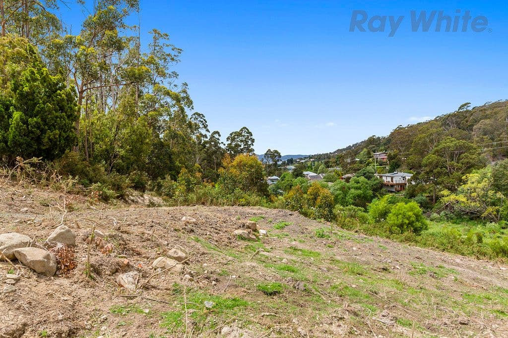 36 Avon Road, South Hobart TAS 7004, South Hobart - Thumbnail 6
