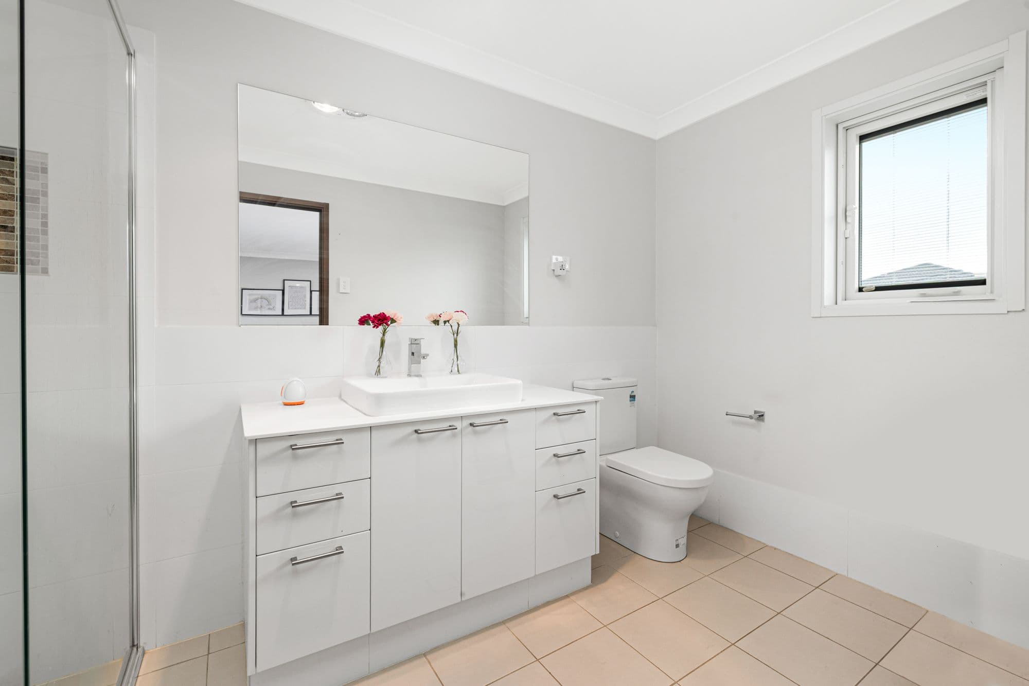 10 Prudence Street, Schofields NSW 2762, Schofields - Thumbnail 8