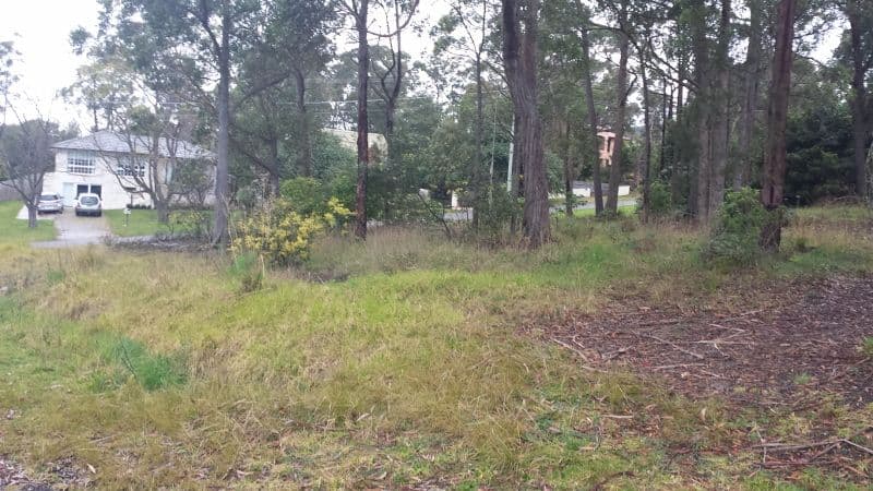 2 Warrigal Street, WILLOW VALE NSW 2575, Willow Vale - Thumbnail 2