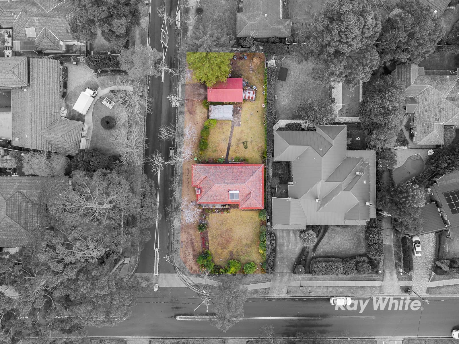190 Excelsior Avenue, Castle Hill - Thumbnail 2