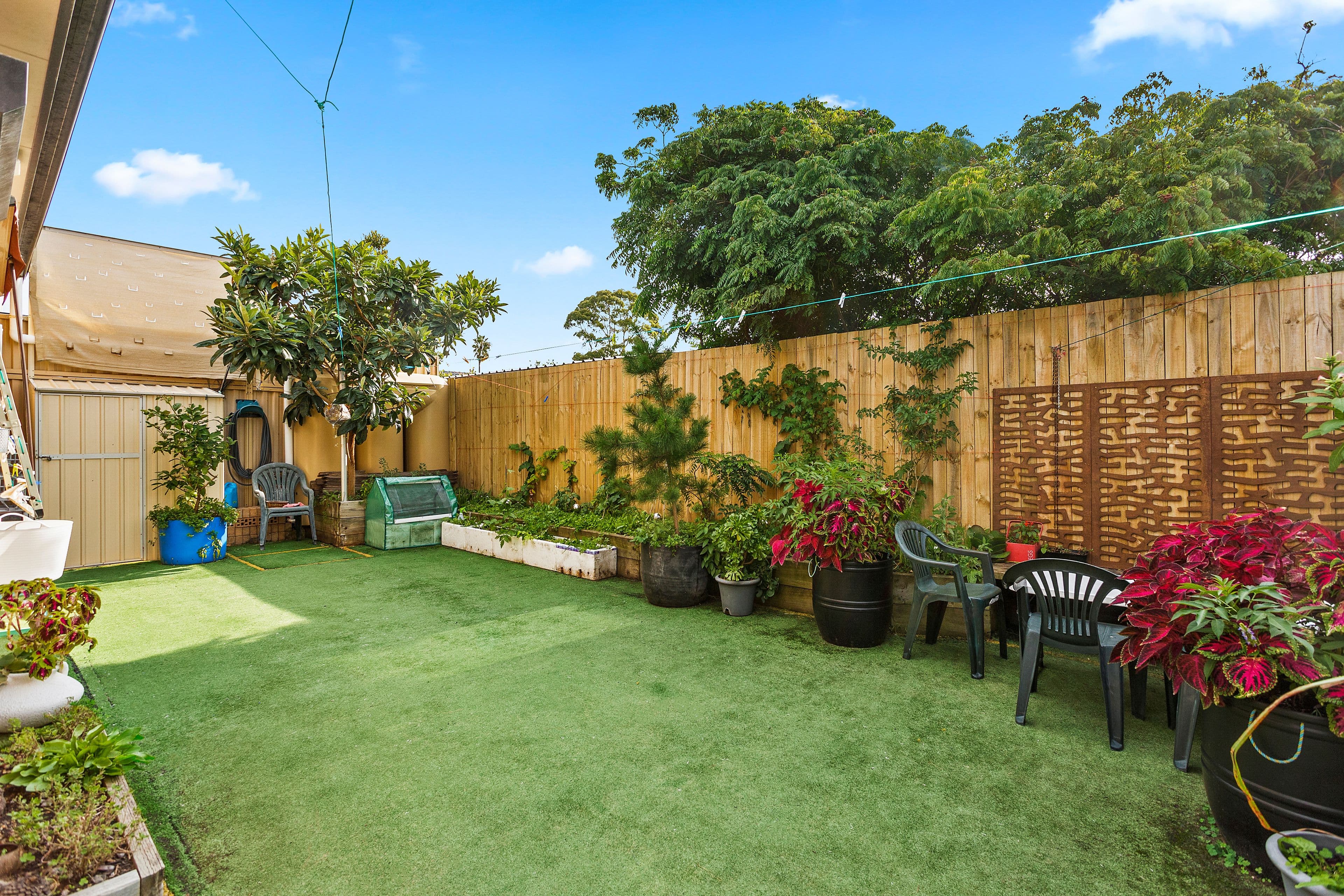 62-64 Albert Street, Bexley NSW 2207, Bexley - Thumbnail 6