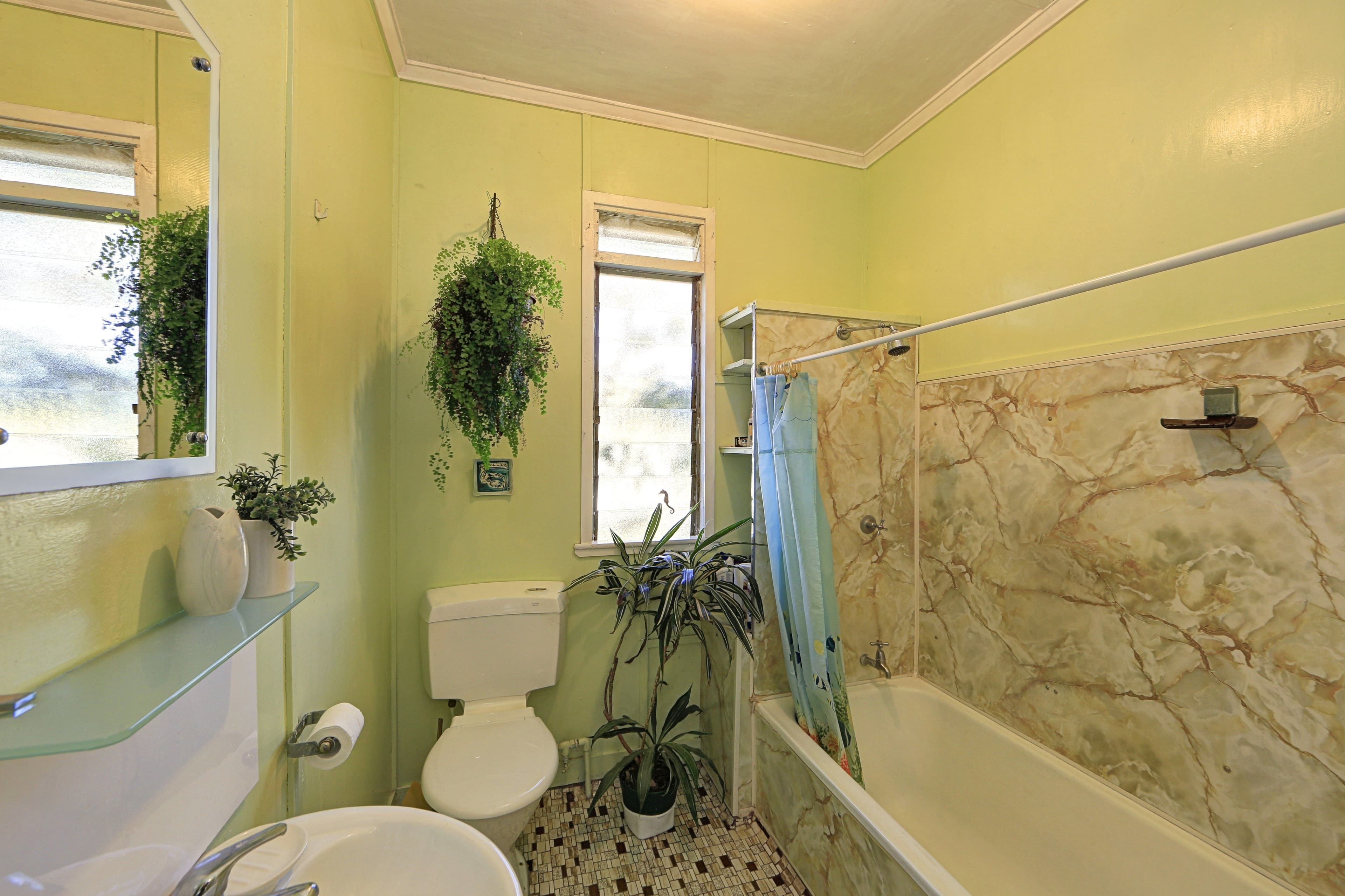 103 Electra Street, Bundaberg West QLD 4670, Bundaberg West - Thumbnail 5