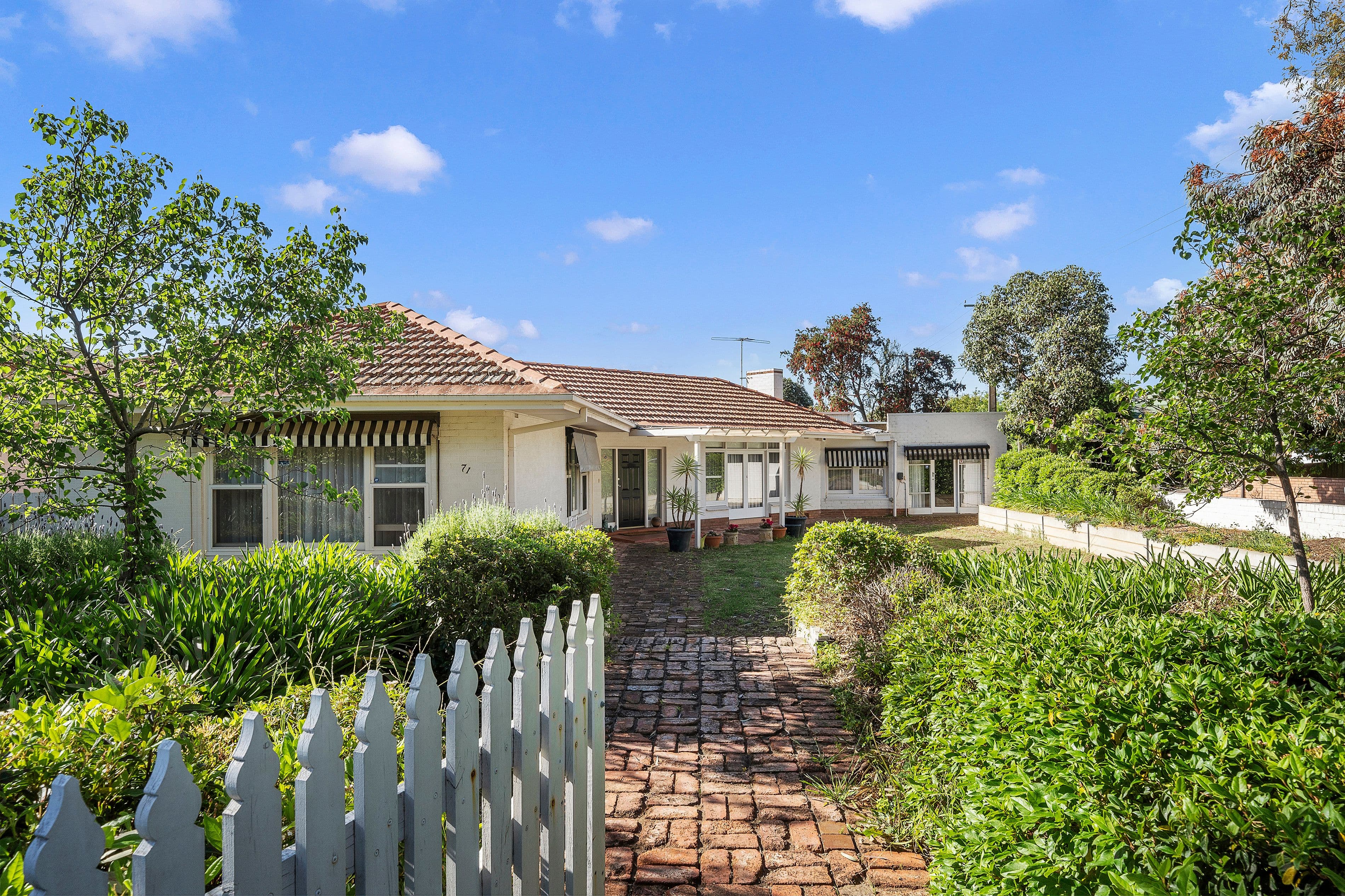 71 Cuthero Terrace, Magill SA 5072, Magill - Thumbnail 2