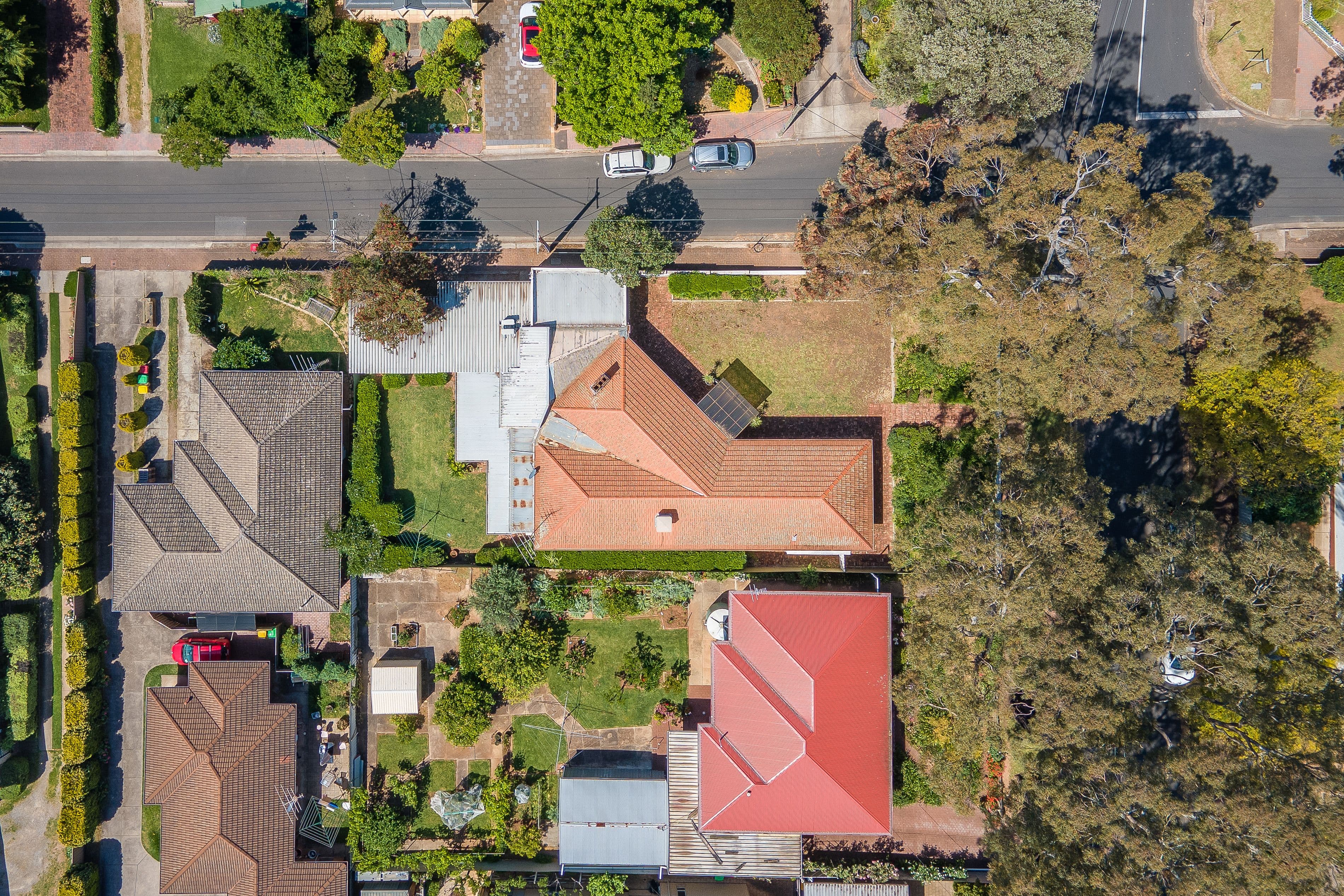 71 Cuthero Terrace, Magill SA 5072, Magill - Thumbnail 3