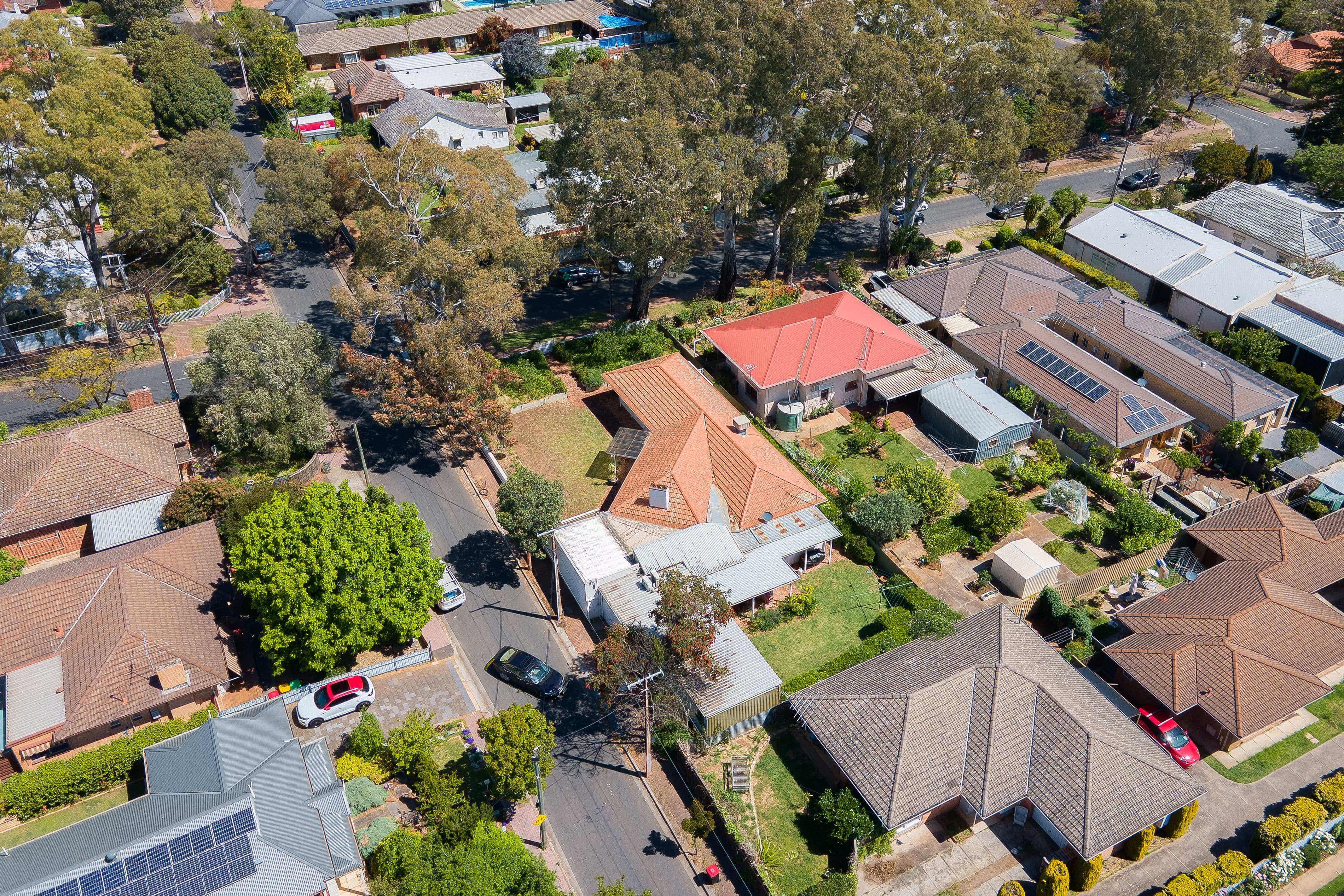 71 Cuthero Terrace, Magill SA 5072, Magill - Thumbnail 4