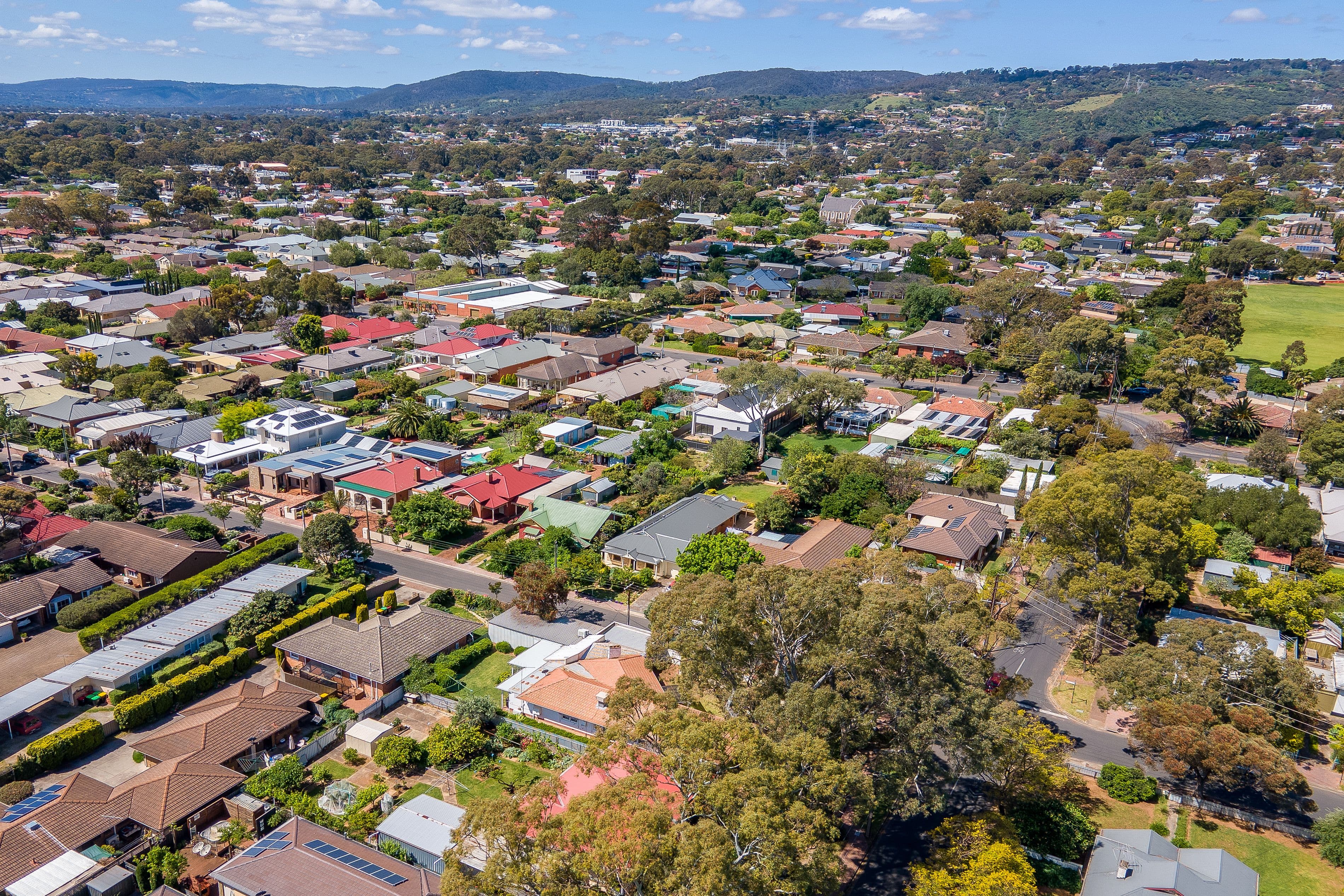 71 Cuthero Terrace, Magill SA 5072, Magill - Thumbnail 6