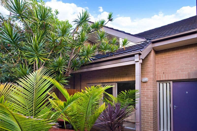 84A Piper Street, LILYFIELD NSW 2040, Lilyfield - Thumbnail 5