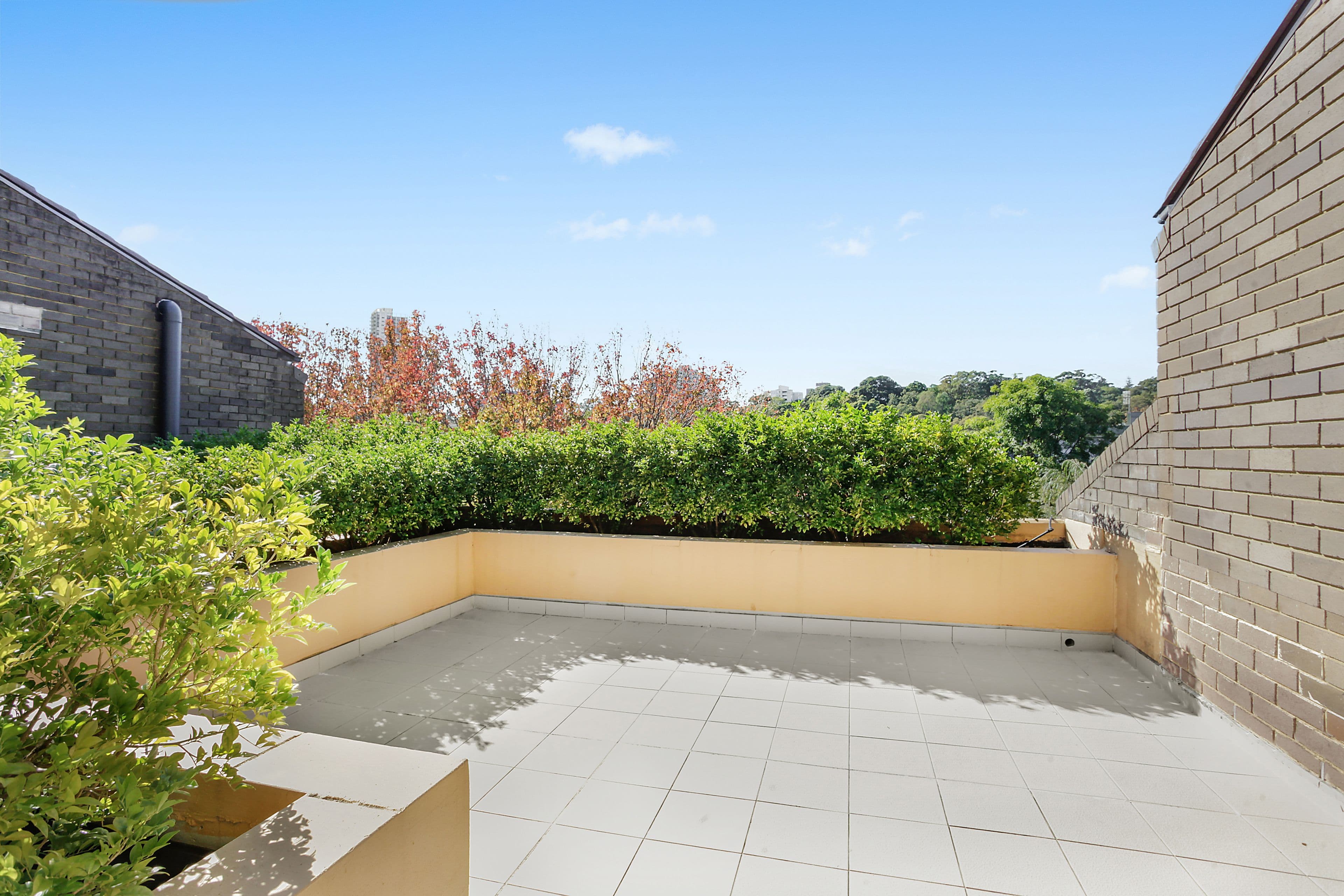 110 Cascade Street, Paddington NSW 2021, Paddington - Thumbnail 4