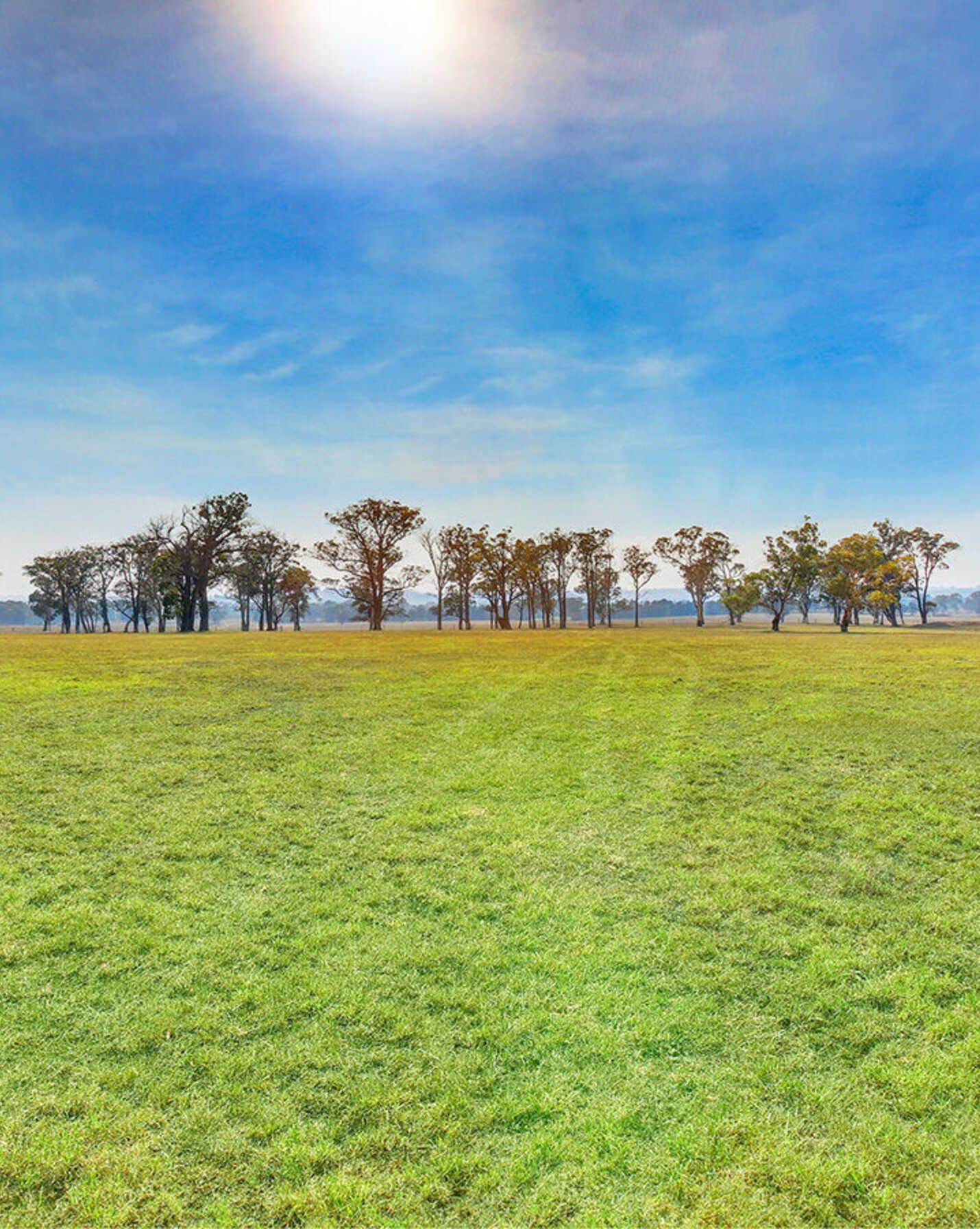 3055 Canyonleigh Road Sutton Forest, Forest - Thumbnail 3