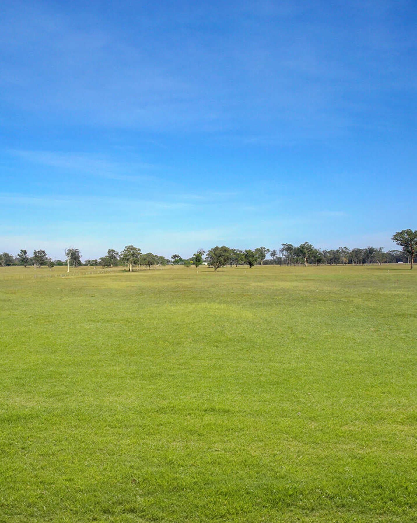 3055 Canyonleigh Road Sutton Forest, Forest - Thumbnail 8