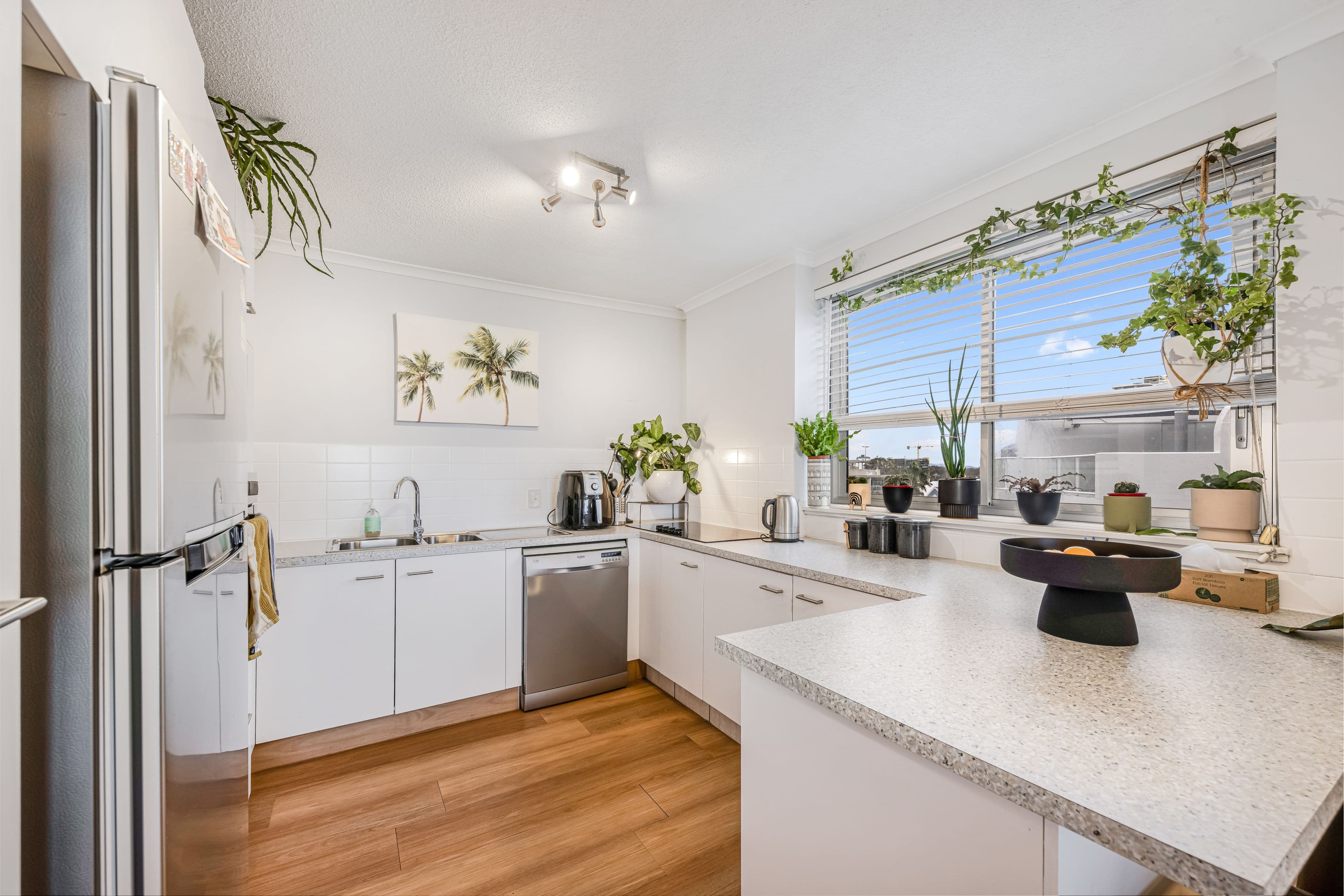 81 Sixth Avenue, Maroochydore QLD 4558, Maroochydore - Thumbnail 5